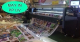 Máy In PP UV – Đại Lí Nhập Khẩu Chính Hãng – Giá Máy In Rẻ
